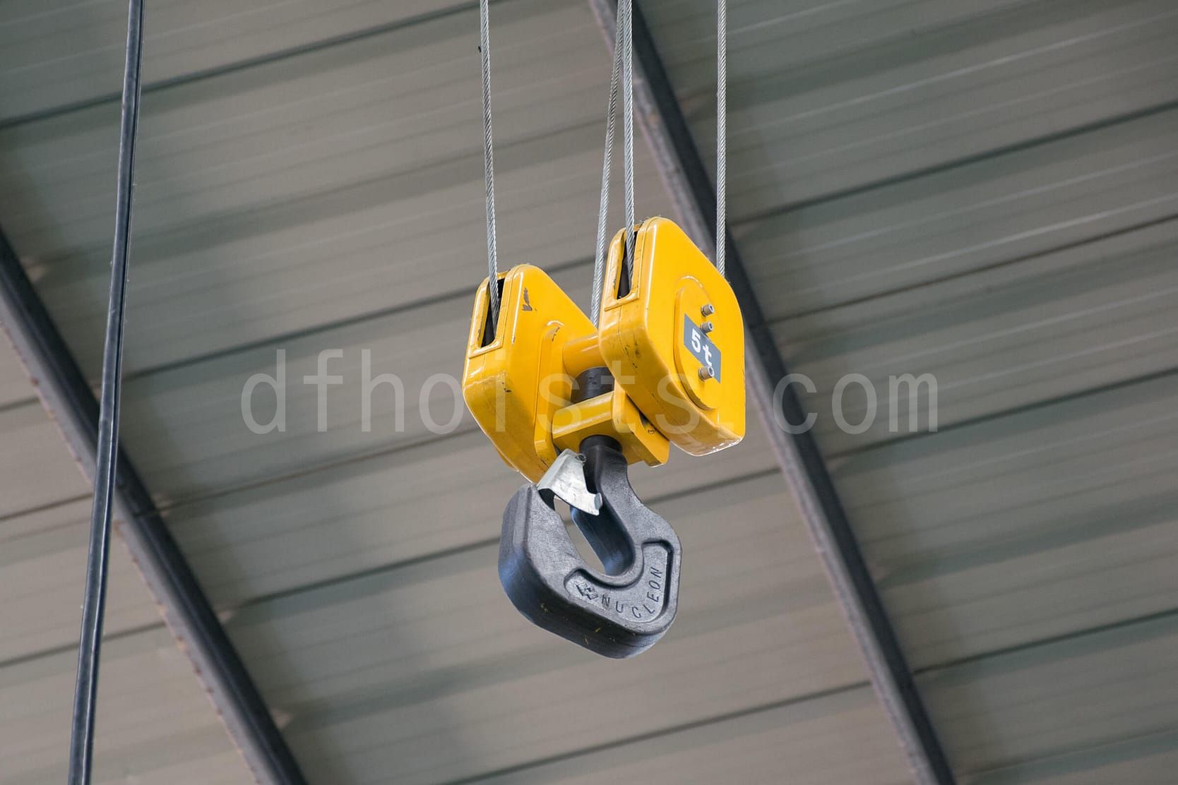 FEM Standard Lifting Hooks Manufacturer Cost Effective Dafang Crane